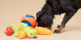 Dog Toys